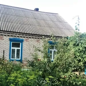 дом в жлобинском районе